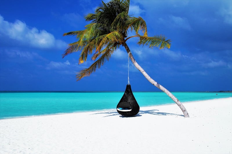 Relaxing Hammocks